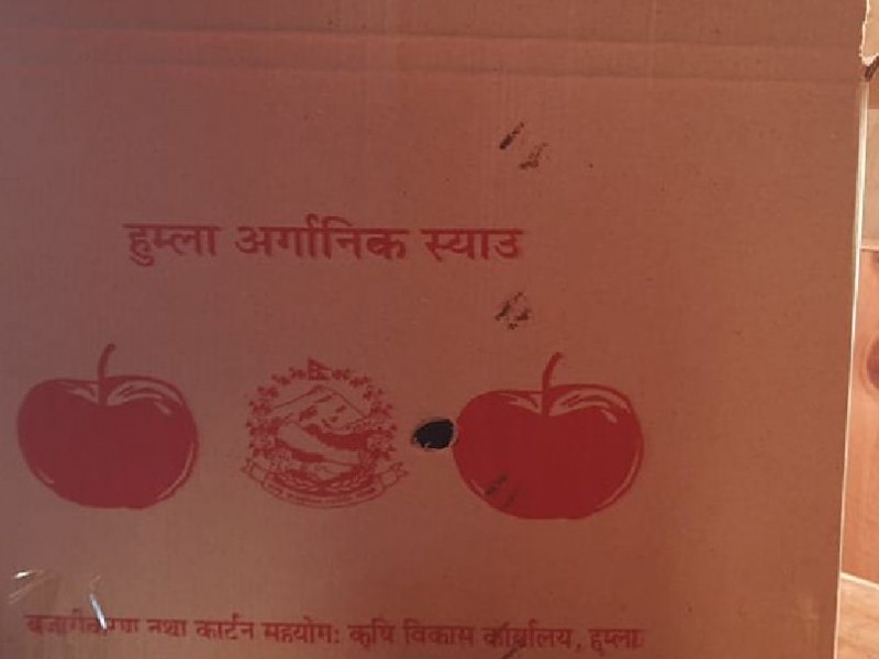 हुम्लामा ‘अर्गानिक स्याउका कार्टुन’ वितरण